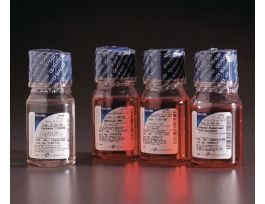 VERSENE 100ML BOTTLE