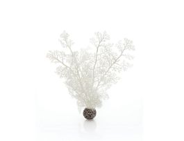 BIORB SEA FAN MEDIUM WHITE EA