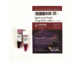 Q-L PURPLE 2-LOG DNA LADDER (0 N0550S
