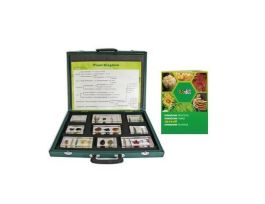 EMBEDMENT PLANT KINGDOM