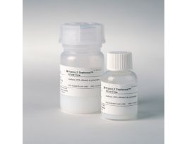 PROTEIN G SEPHAROSE 4FF 200ML