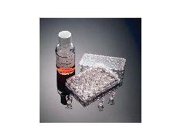 CHAMBER MATRIGEL INV 24W CS24.