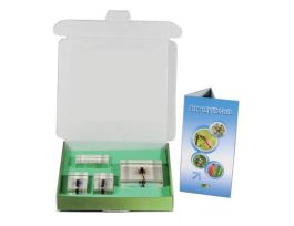 EMBEDMENT KIDS DRAGONFLY LIFECYCLE