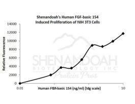 HUMAN FGF-BASIC 154 (FGF-2) 10UG