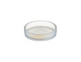 PFA Petri Dish, 100 x 15 mm, 100 mL, 1/Pk