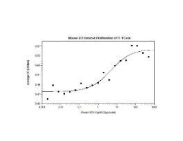 RECOM E.COLI MOUSE SCF >/=95% 500UG