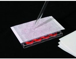 AeraSeal Sealing Film.