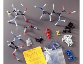 AMINO ACIDS SUPERMODEL KIT