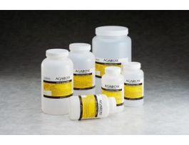 AGAROSE, LOW MELT POINT -25GR