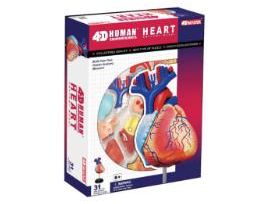 MODEL HUMAN HEART 32 DETACHABLE 4.5 INCH CS