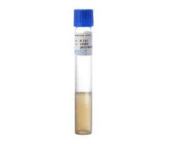 NEUTRALIZING BUFFER PEPTONE WATER 10ML