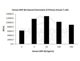 HUMAN MIP-3 BETA (CCL19) 5UG