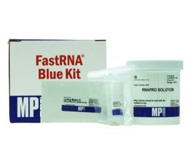 KIT BL FASTRNA PRO GRAM +/- BACT 50PREP