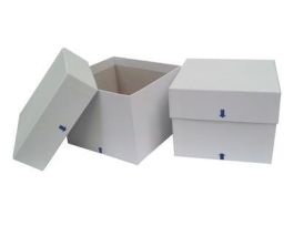 VWR BOX2INMINICRYOW LOGOW25DIV. CS