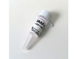 SNAP BIOTIN 50 NMOL.