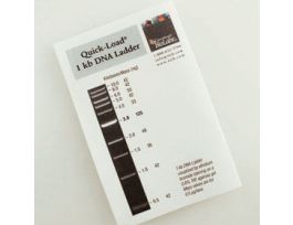 QUICK-LOAD 1 KB DNA 375 GL LN