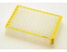 PLATE 96/500 PRT LOB YEL CS40