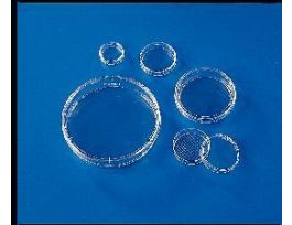 CULTURE DISH,SQ CELL,CS16