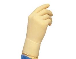 GLOVES LATEX AMBI LARGE CS1000