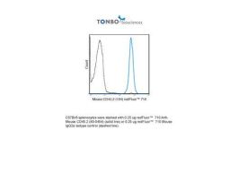 710 ANTI-MOUSE CD45.2 (104) 100UG