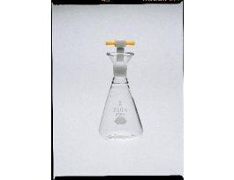 FLASK IODN PTFE STPR 250ML PK2 CS