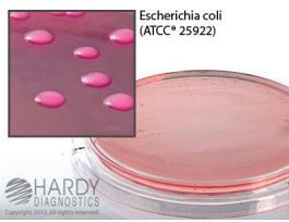 MEDIUM MCNKY AGR CONT PLT SURF TSTG PK10