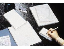 NOTEBOOK SPRL 1/4GRID8.5X11IN CS