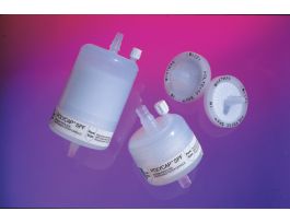 FILTER DISPOSABLE 10-13MM PK10