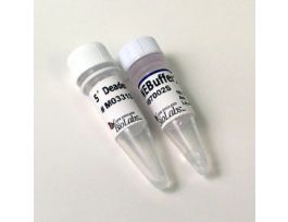 5' DEADENYLASE - 1000 UNITS