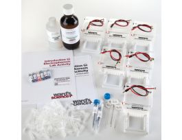 INTRO TO ELECTROPHORESIS LAB SYSTEM CLA