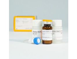 APOLIVE-GLO MULTIPLEX ASSAY 10ML