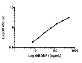 BDNF RAPID ELISA: HU, MS, RT (1 PLT)