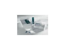 PC Storage Box, 81 x 0.5 mL Vials; 4/Pk