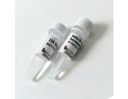 BETA-N-ACETYL-HEXOSAMINIDASE F