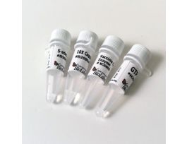 VACCINIA CAPPING SYSTEM - 400
