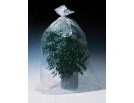 POLY BAG 24X24 2MIL 500/CASE