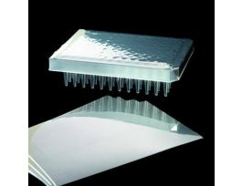 SEAL PLATE REAL-TIME CLR CS100