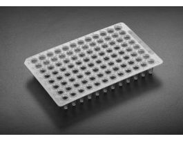 PCR PLATE LOW PROFILE0.1ML NAT
