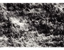 FLUOROTRANS 0.2UM 3.3M RL