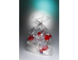 BAG AUTOCLAVE PP40UM 14L CS500