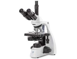 Compound Trinocular Microscope, 10/20/40/100x, Phase Contrast Plan; 100-240 VAC
