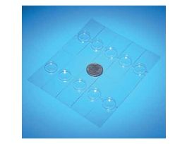 Microscope Slide with Well, Plastic, 3" x 1"; 10/Pk