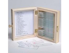Prepared Microscope Slide Set, Basics, Set of 25 Slides; 1/EA