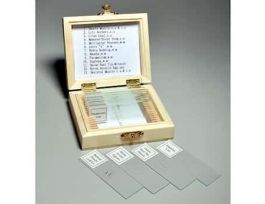 Prepared Microscope Slide Set, Biology, Set of 13 Slides; 1/EA