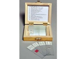 Prepared Microscope Slide Set, Biology, Set of 12 Slides; 1/EA