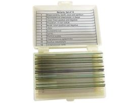 Prepared Microscope Slide Set, Bacteria, Set of 12 Slides; 1/EA