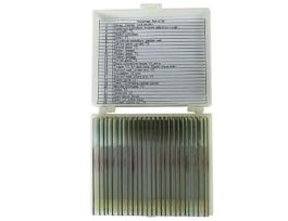 Prepared Microscope Slide Set, Histology, Set of 25 Slides; 1/EA