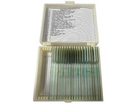 Prepared Microscope Slide Set, Basic Plant Anatomy, Set of 20 Slides; 1/EA