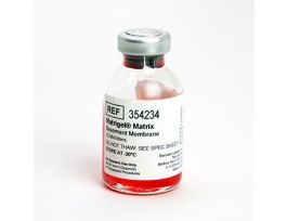 BD MATRIGEL MATRIX 10ML.