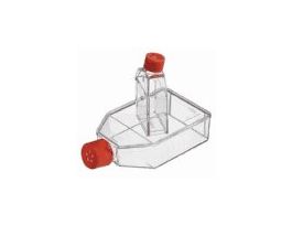 Cell Culture Flask, 25cm2/Canted Neck/Plug Seal Cap; Sterile, 500/Cs